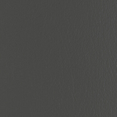 KRAVET CONTRACT FORZA.1121.0 FORZA THUNDER Fabric - EXTREME PERFORMANCE II