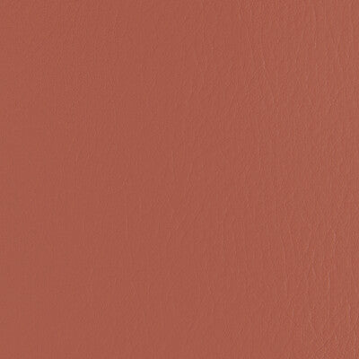 KRAVET CONTRACT FORZA.24.0 FORZA CLAY Fabric - EXTREME PERFORMANCE II