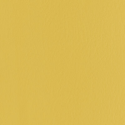 KRAVET CONTRACT FORZA.4.0 FORZA DANDELION Fabric - EXTREME PERFORMANCE II