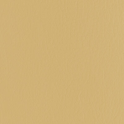 KRAVET CONTRACT FORZA.416.0 FORZA BUTTERSCOTCH Fabric - EXTREME PERFORMANCE II