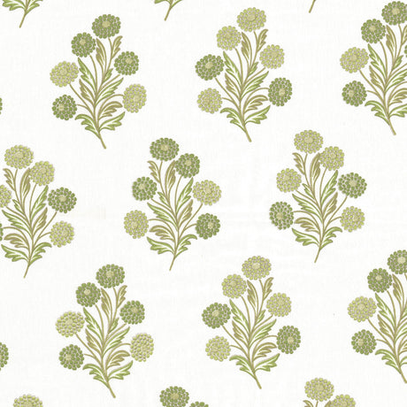 Eade's FOXC-1-sample CELERY