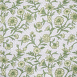 Eade’s # 345 TARRAGON