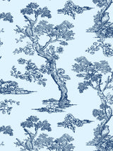 Scalamandre FS30001SCPKCUTE COUNTRYSIDE TOILE PILLOW - Pillo