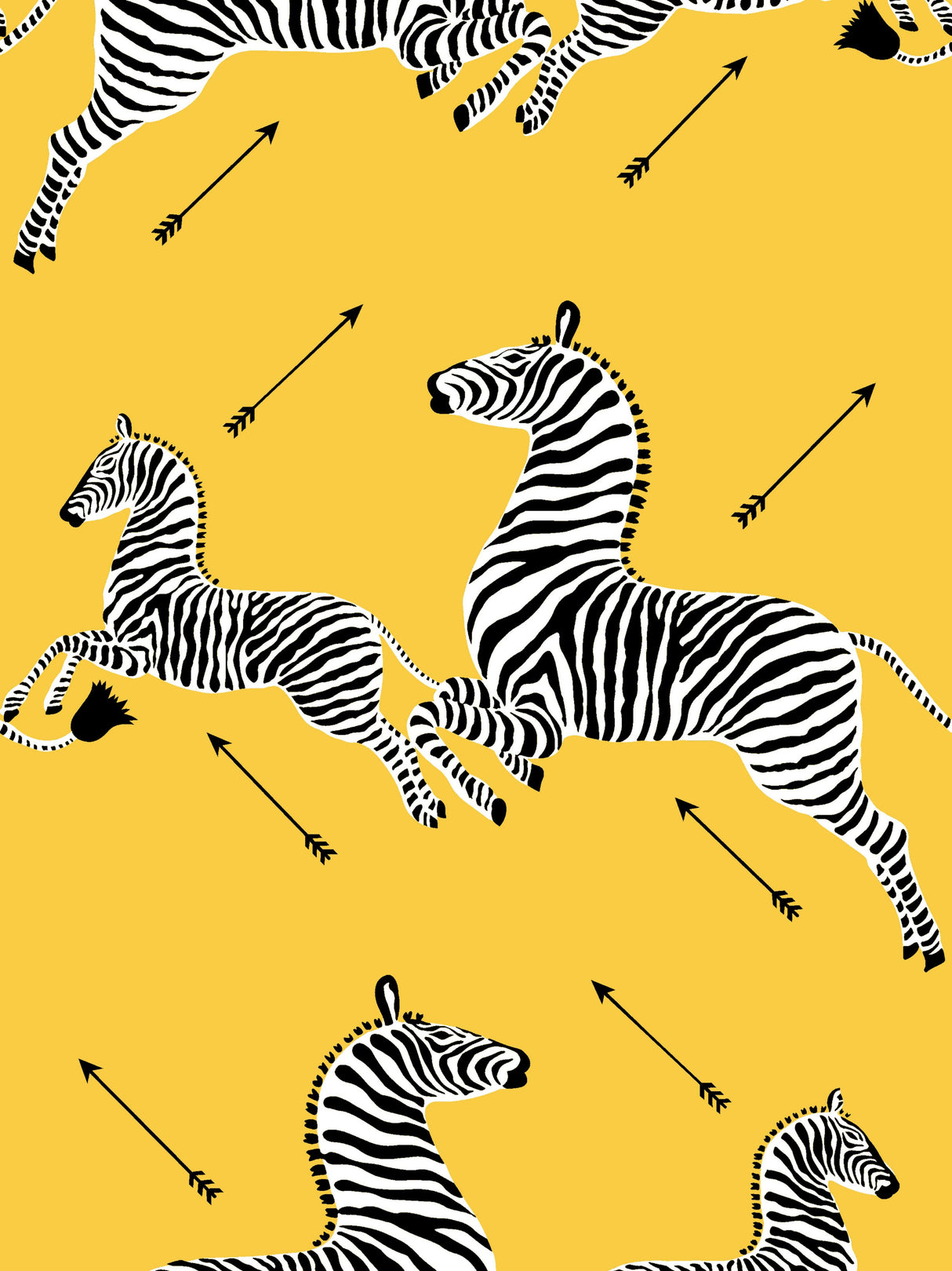 Scalamandre FS30002SCPKZEBR ZEBRAS PILLOW - Pillow Collectio