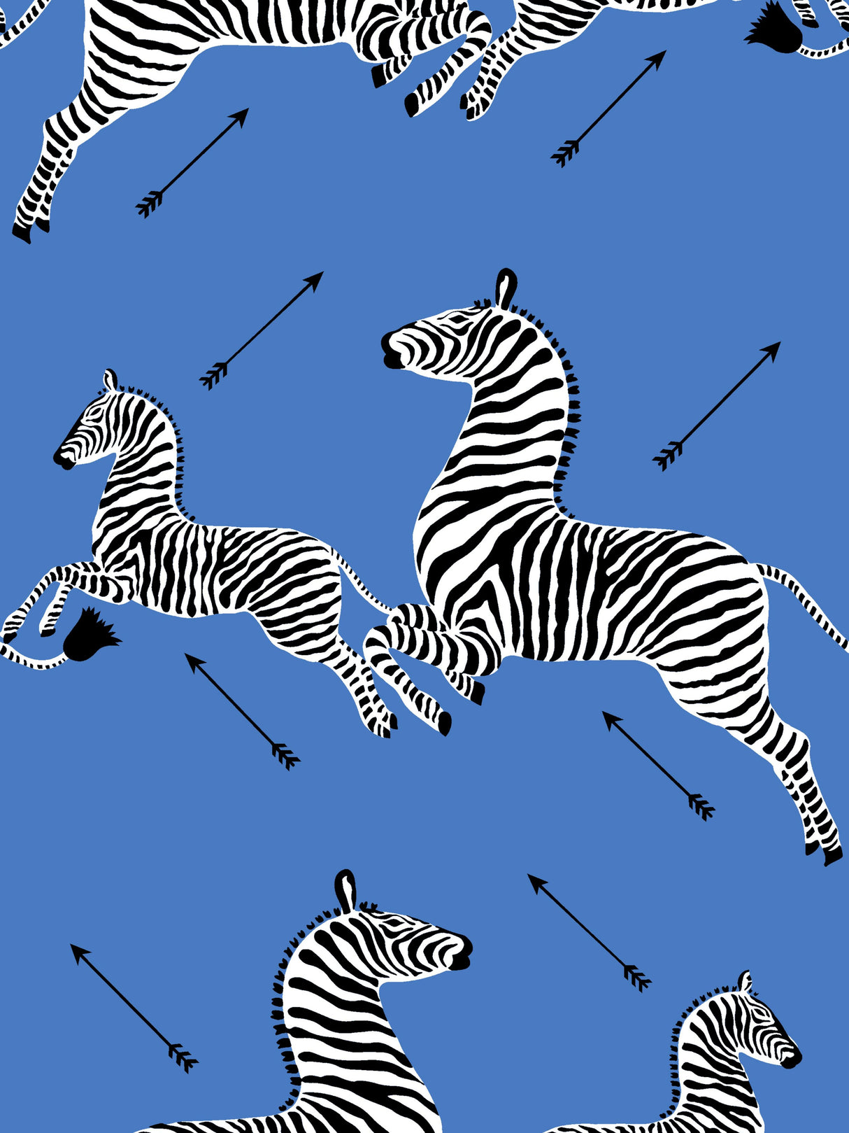 Scalamandre FS30003SCPKZEBR ZEBRAS PILLOW - Pillow Collectio