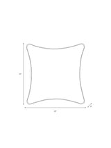 Scalamandre FS30004SCPKZEBR ZEBRAS PILLOW - Pillow Collectio