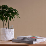 Eade's FS72030-sample Beige