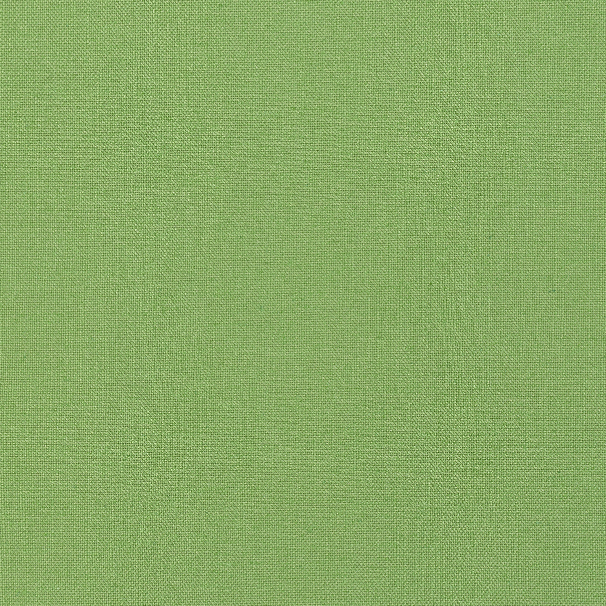 Thibaut FWW7653 PALISADE LINEN Grass