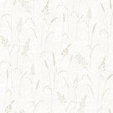 Eade's G12256-sample Beige