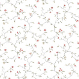 Eade's G12262-sample White