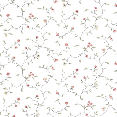 Eade's G12262-sample White