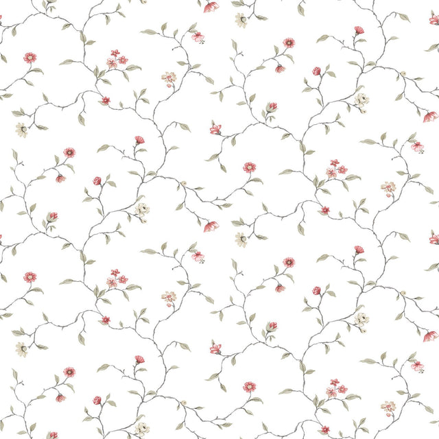 Eade's G12262-sample White