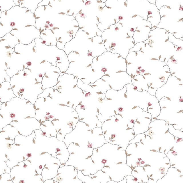 Eade's G12264-sample White