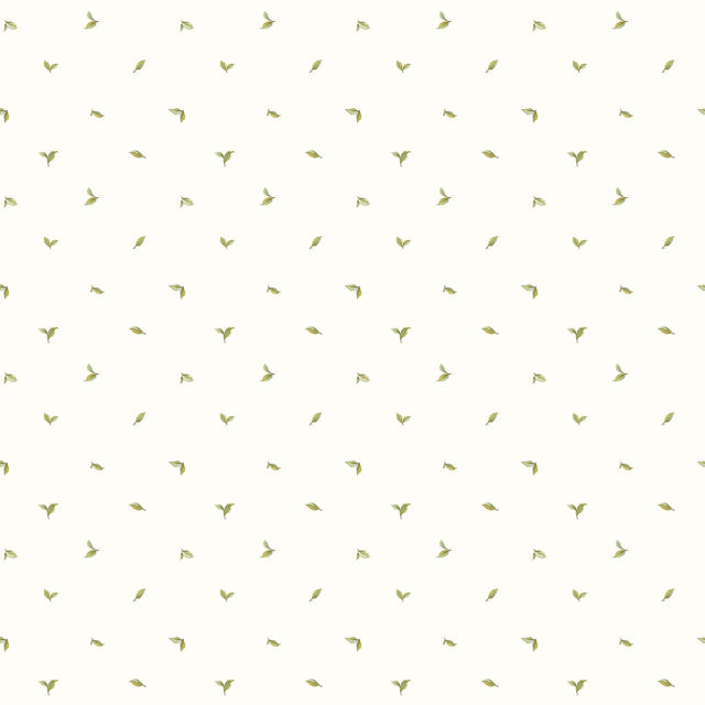 Eade's G12277-sample Cream