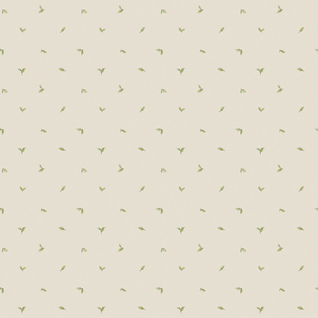 Eade's G12278-sample Beige