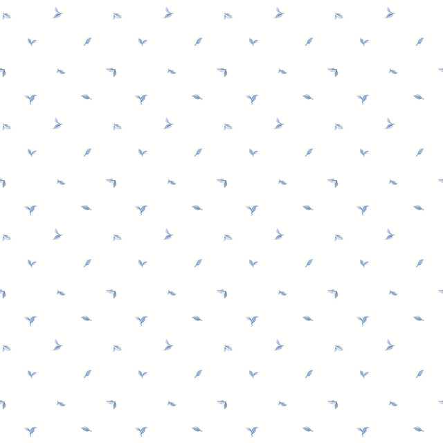 Eade's G12279-sample White