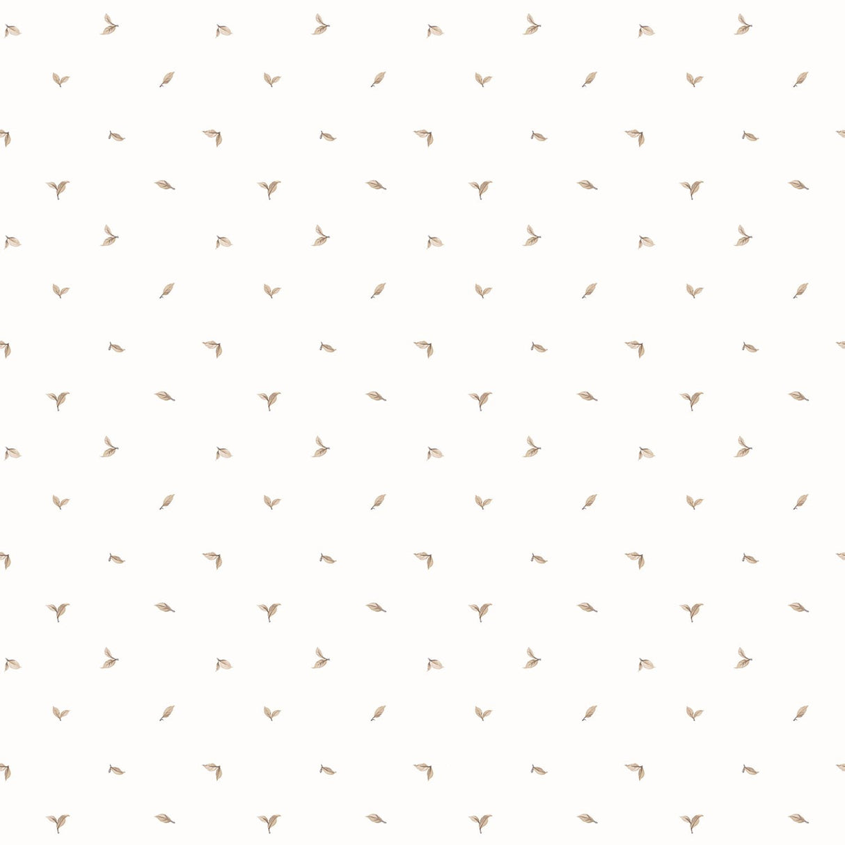 Eade's G12280-sample Beige