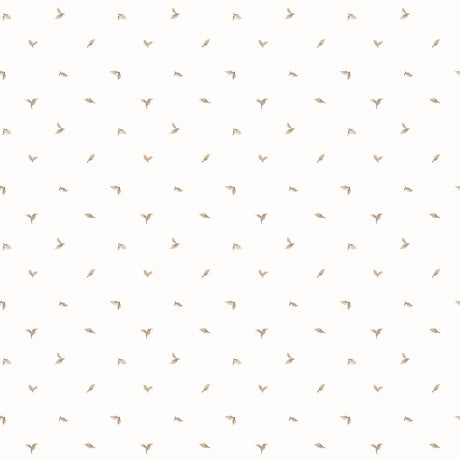 Eade's G12280-sample Beige