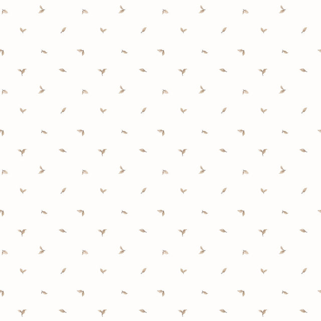 Eade's G12280-sample Beige