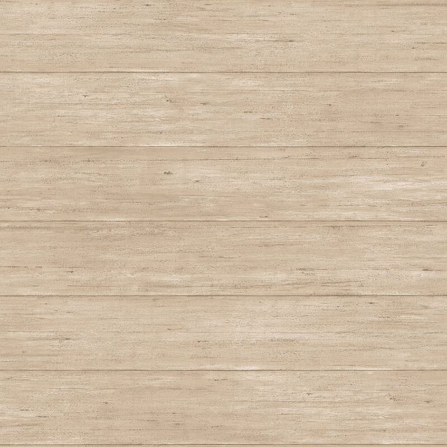 Eade's G12304-sample Beige