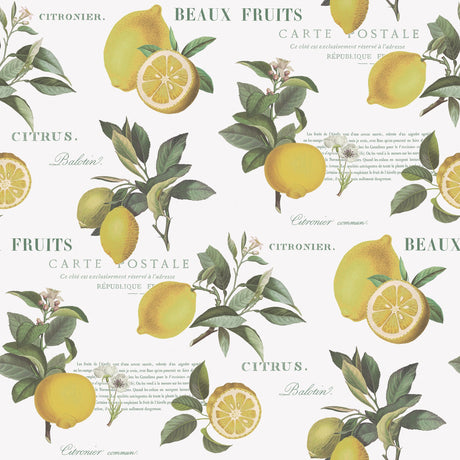 Galerie G45409 Yellow Citron Botanical - Eade's Wallpaper