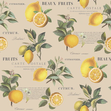 Galerie G45410 Beige Citron Botanical - Eade's Wallpaper