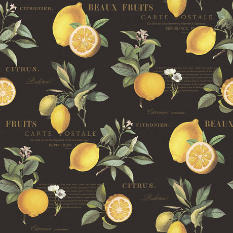 Galerie G45411 Black Citron Botanical - Eade's Wallpaper