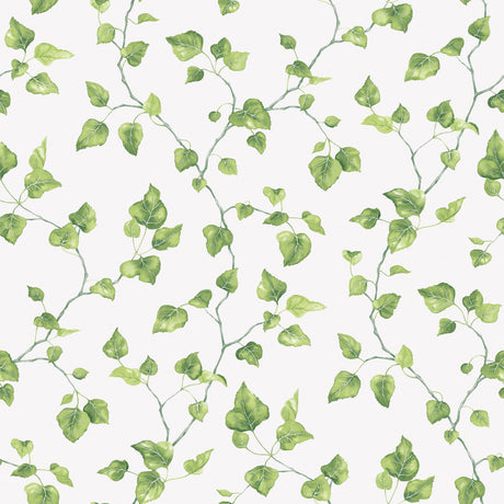 Galerie G45431 Green Just Ivy - Eade's Wallpaper