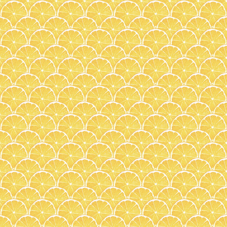 Galerie G45438 Yellow Lemon Scallop - Eade's Wallpaper