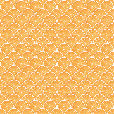 Galerie G45439 Orange Lemon Scallop - Eade's Wallpaper