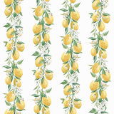 Eade's G45441-sample Yellow