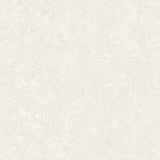 Eade's G56160-sample Beige