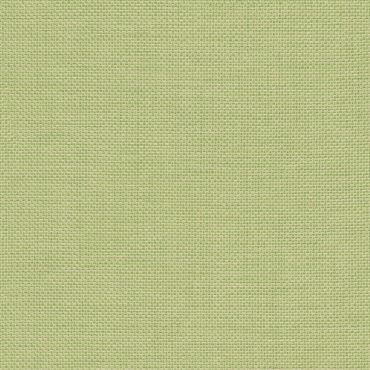 Galerie G56416 Rattan Green Wallpaper