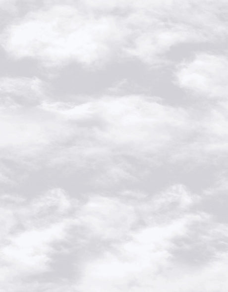 Galerie G56532 Silver Grey Floating Clouds - Eade's Wallpaper