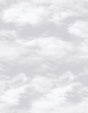 Galerie G56532 Silver Grey Floating Clouds - Eade's Wallpaper