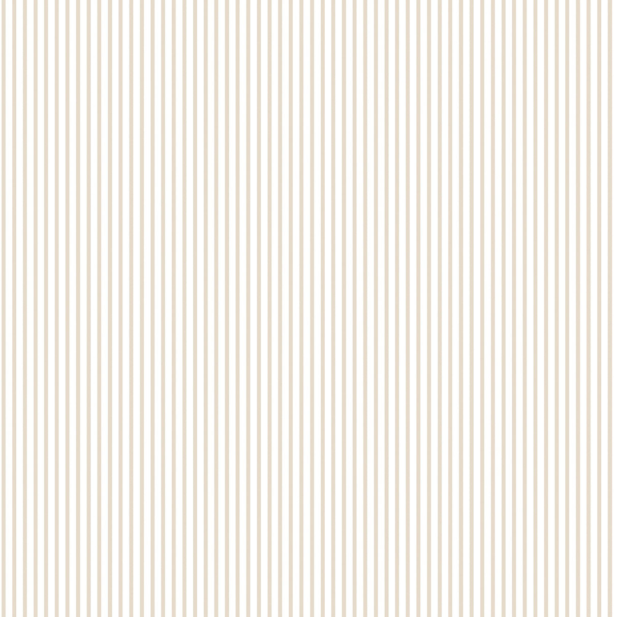 Galerie G56645 Bronze Brown Candy Stripe - Eade's Wallpaper