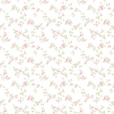 Galerie G56649 Pink Delicate Floral - Eade's Wallpaper