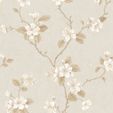 Galerie G67615 Cream Dogwood Floral - Eade's Wallpaper