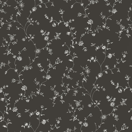 Galerie G67861 Black Floral Trail - Eade's Wallpaper