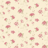 Eade's G67868-sample Cream