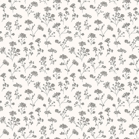 Galerie G67870 White Parsley Floral - Eade's Wallpaper