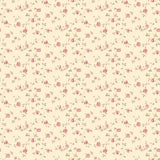 Eade's G67888-sample Cream