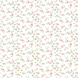 Eade's G67889-sample White