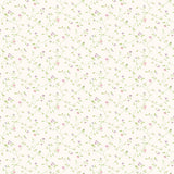 Eade's G67923-sample Cream