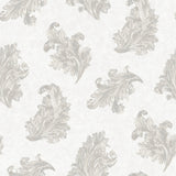 Galerie G68661 Silver Grey Acanthus - Eade's Wallpaper