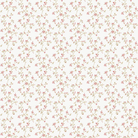 Eade's G68700-sample Pink