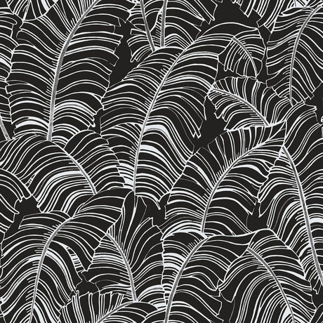 Galerie G78297 Black Broadleaf - Eade's Wallpaper