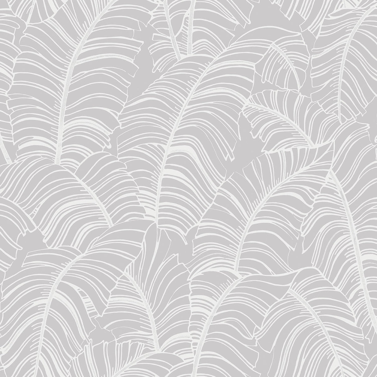 Galerie G78298 Silver Grey Broadleaf - Eade's Wallpaper