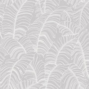 Eade's G78298-sample Silver Grey