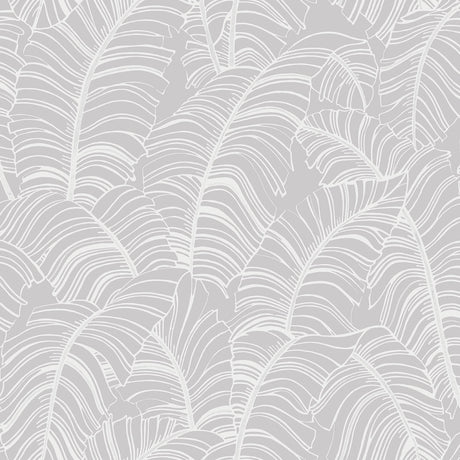 Galerie G78298 Silver Grey Broadleaf - Eade's Wallpaper